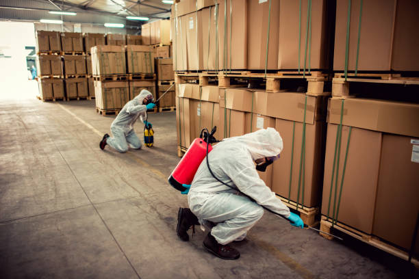 Best Pest Inspection Near Me  in West Perrine, FL