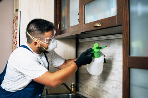 Best Pest Removal Services  in West Perrine, FL