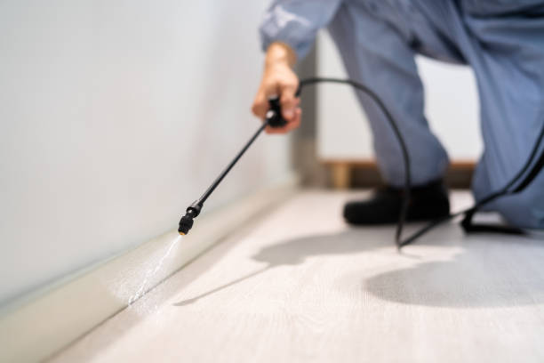 Best Best Pest Control Companies  in West Perrine, FL