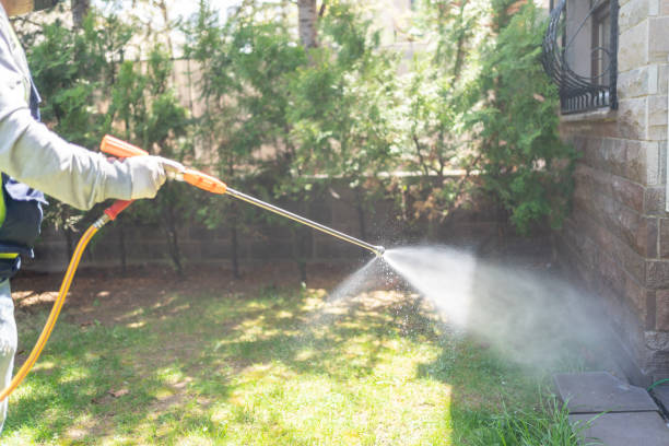 Best Affordable Pest Control Services  in West Perrine, FL