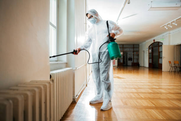 Best Wasp Removal Services  in West Perrine, FL